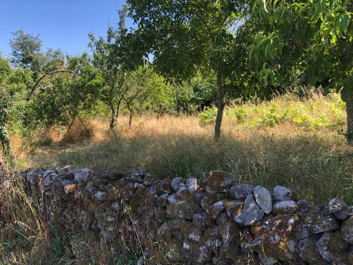 Pantón Casa Pedragude. Turismo Rural. מראה חיצוני תמונה